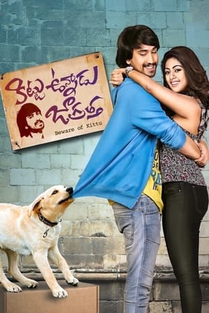 Kittu Unnadu Jagratha 2017 Hindi Dual Audio 480p UnCut HDRip 400MB - Movierulz